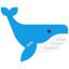 blue whale logo